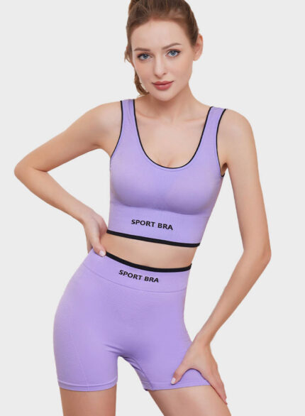 QINSEN Active Wear Outfits for Women 2 Piece Set Athletic Seamless Leggings  and Ribbed Sport Bra Sets Wine M, Wine, M price in UAE,  UAE