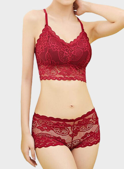Lace mesh bra and thong set - Ovitio